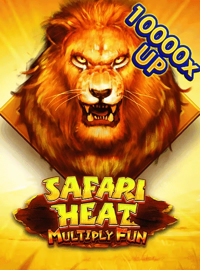 BPL match betting cover